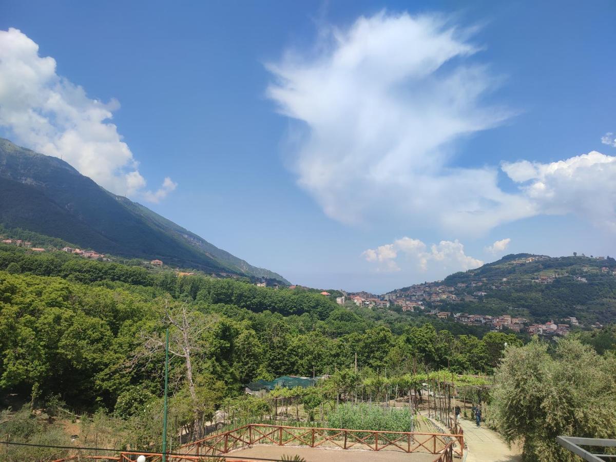 La Masseria 피몬테 외부 사진